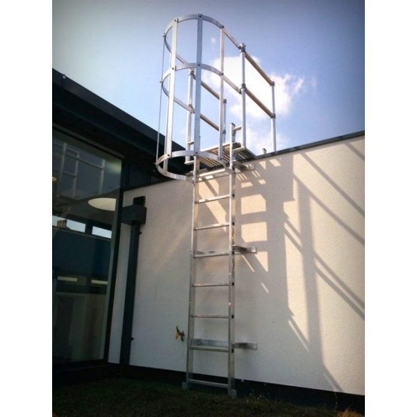 Global Cage Ladder Market Landscape and Strategic Growth Insights 2024 - 2031
