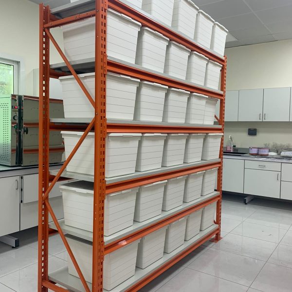 WhatsApp Image 2025-01-02 at 8.28.08 AM (1)