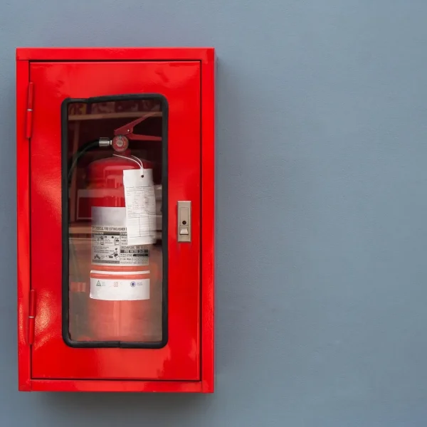 shutterstock_1094643107-1920w