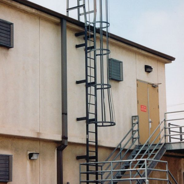 WhatsApp Image 2025-05-06 at 3.49.26 PM (3)