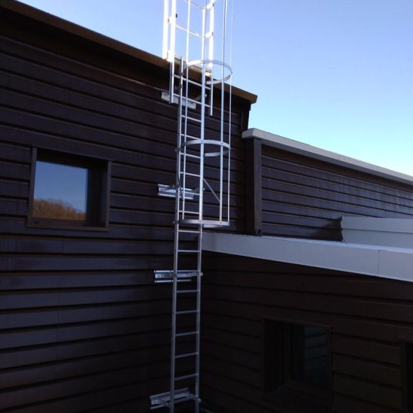 WhatsApp Image 2025-05-06 at 3.49.26 PM (5)